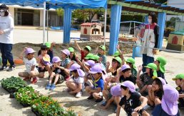 幼児園も花いっぱい！