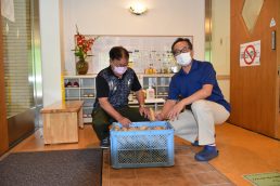 ジャガイモのおすそ分け