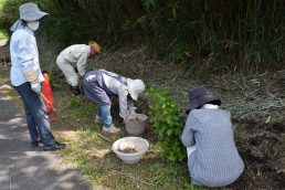 小里川ホタルを守る会　整備作業
