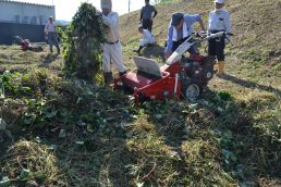 収穫祭準備　サツマイモ掘りよりも準備が大変( ;∀;)