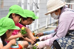 花植えも水やりも上手にできました🌼