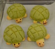 かわいいカメぱん🐢
