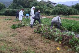 収穫祭の準備ととのいました🍠