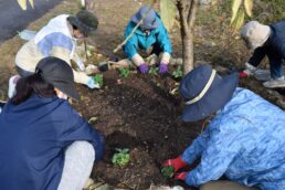 花いっぱい運動　ホタルロード花植え