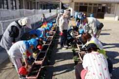 秋の花いっぱい運動　こども園編🌼