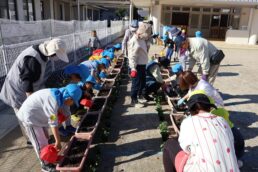 秋の花いっぱい運動　こども園編🌼
