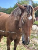 新年のごあいさつ