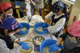 来年の秋まで待ちましょう🍂