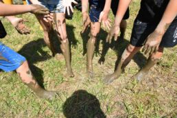 稲津小学校　田植え
