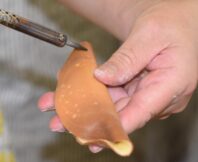 初夏の和菓子を作ってみました