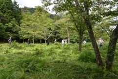 まちづくり整備作業